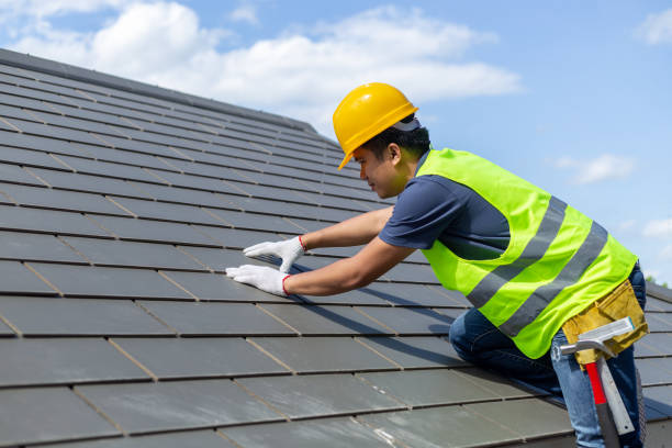 Best Solar Panel Roofing Installation  in Claude, TX